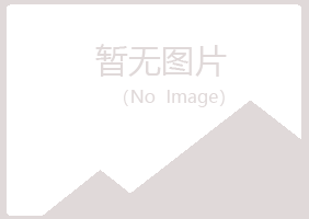 连山区从容会计有限公司